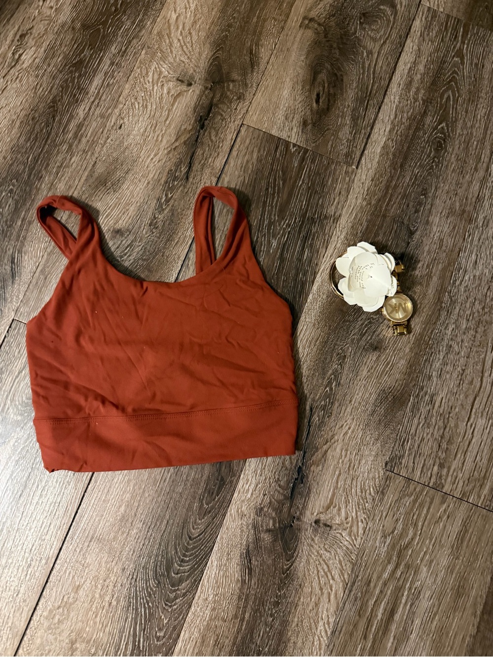 Nike Women's Rust Red Sports Bra Top